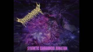 FECULENT WOUND  SYNTHETIC CANNABINOID RUINATION [upl. by Lrig517]