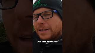 Unlocking the Secrets to a Perfect Preformed Pond Installation [upl. by Nwahsud]