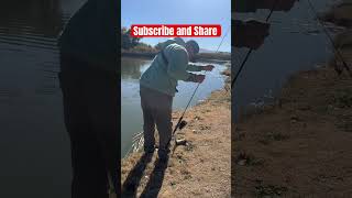 Double Drop Shot Set Upfishing trouts dropshotfishing truchas [upl. by Casavant318]