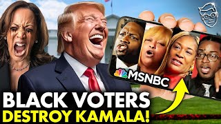 Black Voters Leave MSNBC in STUNNED Shock Im Voting TRUMP F Kamala’ Total PANIC [upl. by Airun]