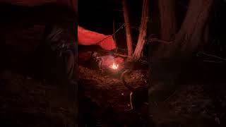 Adventure time with Rüger and Aiden family dog camping outdoors enjoy night [upl. by Rehteh]