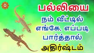 பல்லியை எங்கே எப்படி பார்த்தால் அதிர்ஷ்டம் வரும் [upl. by Bradwell]