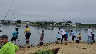 cape cod canal fishermen fishing for striper [upl. by Esta628]