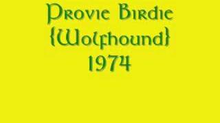 Provie Birdie  Wolfhound The Helicopter Song [upl. by Obellia]