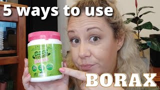 5 Ways to use BORAX  IS BORAX SAFE TO USE IN THE HOME [upl. by Hinckley]