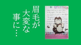 【60代の英語学習】愛が足りないところ② [upl. by Bashee]