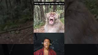 Nhìn nó có cay không chứ lị con người kia  shorts memes youtubeshorts [upl. by Ojok]