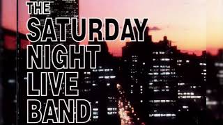 Saturday Night Live Band  Saturday Night Live Theme 1986 [upl. by Avirt347]