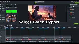 how to Export multiple file from marker in camtasia  Batch Exporter [upl. by Almeida]