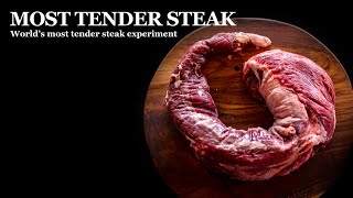 This is the Worlds Most Tender Steak [upl. by Ylliw]