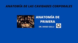 ANATOMÍA DE LAS CAVIDADES CORPORALES [upl. by Nabetse]