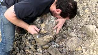 Collecting Calcite and Fossils in southeast Colorado [upl. by Hussein]