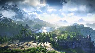 The Witcher 3 Ard Skellig Combat 01 extended 20 min [upl. by Creamer850]