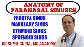 PARANASAL SINUSES  ANATOMY [upl. by Fries]