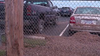 Mayfly invasion in Northeast Ohio [upl. by Crelin]