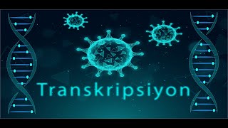 Transkripsiyona Giriş [upl. by Files]