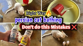 Persian Cat ko kaise nahlaye  Easy way to bath a persian cat  persian cat bathing tips hindiurdu [upl. by Hsirap466]