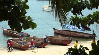 Zanzibar Song of Njiwa by The Peter Ulrich Collaboration [upl. by Yborian]