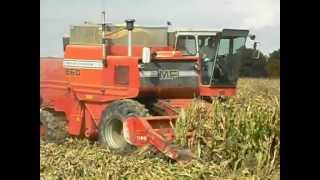 Massey 860 running corn [upl. by Jennie475]