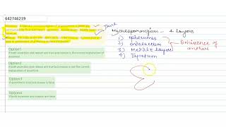 Assertion  A typical microsporangium of angiosperms is generally surrounded by four wall layers [upl. by Aniral]