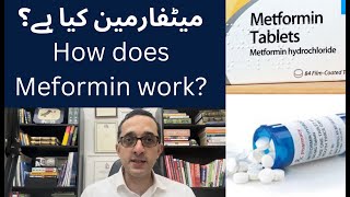 What is Metformin Medicine  Metformin medication kaisay kam karti ha [upl. by Eimarrej314]