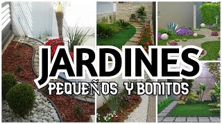 IDEAS DE DECORACION PARA JARDINES PEQUEÑOS En Casa con La Tía Milly [upl. by Leahciam]