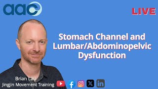 Stomach Channel and LumbarAbdominopelvic Dysfunction [upl. by Unity]