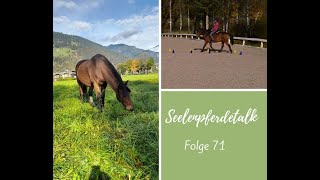 Seelenpferdetalk71  Perfektionismus beim Reiten [upl. by Ina]