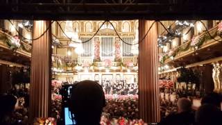 Vienna Philharmonic New Years Concert 2015 [upl. by Femi]