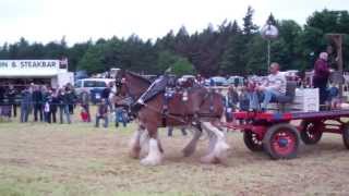 Heavy Horses Vintage Agricultural Machinery Club Rally Strathmiglo Fife Scotland [upl. by Emirej996]