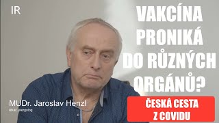 Vakcíny produktem genové terapie  Jaroslav Henzl [upl. by Debbee]