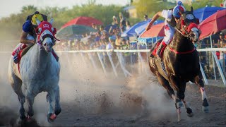 Carreras de Caballos en Cumpas 29 de Abril 2023 [upl. by Euqinomad762]