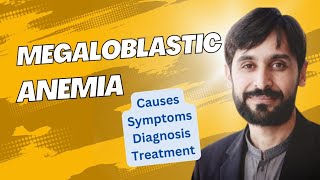 Megaloblastic Anemia  Causes  Symptoms  Diagnosis and Treatment  MLT Hub with kamran [upl. by Ainahpets]