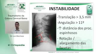 Traumatismo da Coluna Cervical Baixa  Dr Luiz Marchese [upl. by Adnesor745]