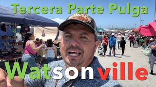 La Pulga De Watsonville [upl. by Haroppiz]