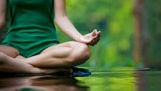 ZEN  Rilassamento Zen E Suoni Della Natura Ed Acqua Per Meditare [upl. by Efioa]