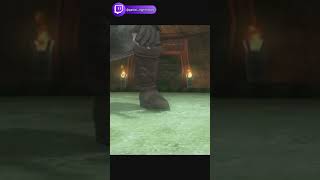 Chat Understood the Assignment Link couldnt hold it in twitchstreamer twilightprincess fart [upl. by Maryjane794]