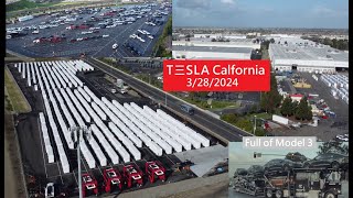 Tesla California 328 2024 [upl. by Ihsar520]