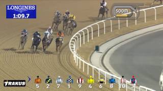 Race 5 Gulf News [upl. by Ainelec64]