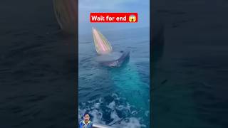 Dont make this mistake at sea sea whale shark shorts shortvideo viralshorts youtubeshorts [upl. by Theodoric]