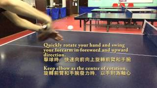 Slow Motion Table Tennis Demo Backhand Flick 慢鏡教學 反手擰拉 甲組優秀球員示範 [upl. by Constancy]