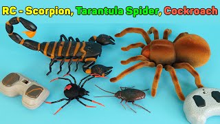 Scorpion Tarantula Spider And Crawling Cockroach  Remote Control RC  Unboxing amp Review [upl. by Raknahs844]