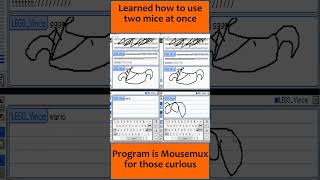 MouseMux is a nice Program for melonds NintendoDS Pictochat [upl. by Eelorac]