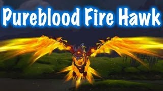 Pureblood Fire Hawk Mount Guide World of Warcraft  drops [upl. by Anidem]