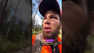 Rifle Hunting Osceola WMA Whitetail [upl. by Jolenta]