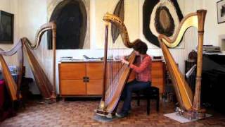 Cross strung harp Pleyel Suite Bw997 JSBach Double [upl. by Lesley807]