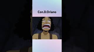 ConDOriano onepiece zoro usopp [upl. by Adnolor]