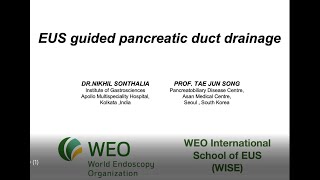 EUSguided pancreatic duct drainage [upl. by Enylodnewg996]