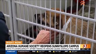 Arizona Humane Society reopens campus due to massive overcapacity issue [upl. by Blakeley]