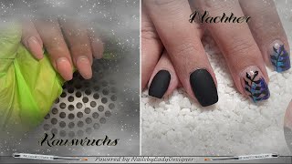 Foliendesign  Schwarz mit Malerei  NailsbyLadyDesigner [upl. by Grath]